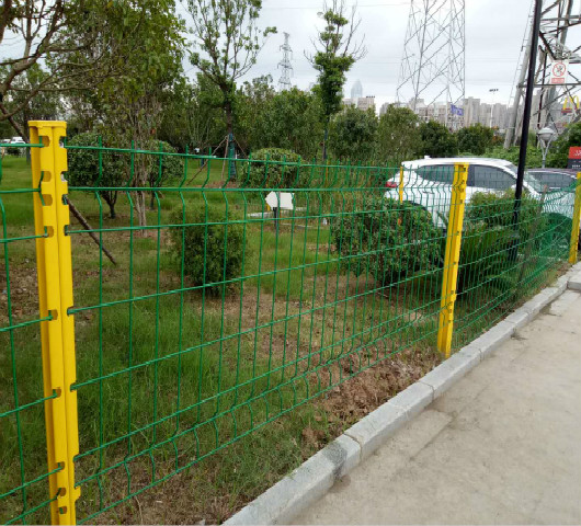 河南城建馬路兩側保護植被花